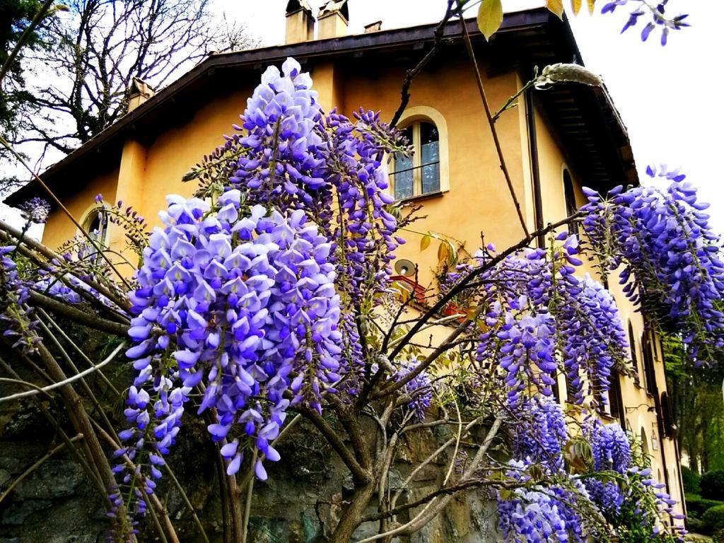 La Locanda Del Borgo 피에트라루냐 외부 사진